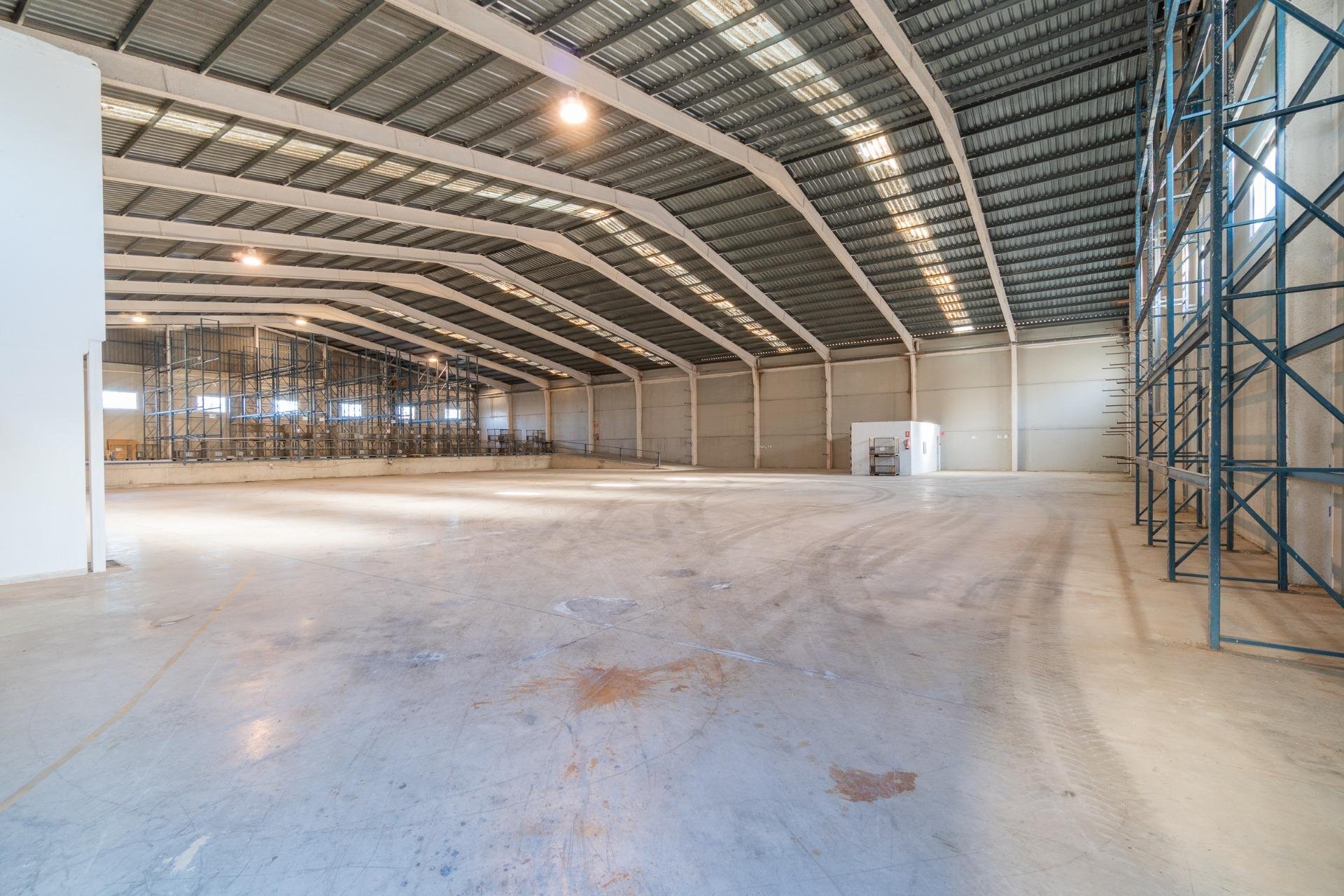 Alquiler a largo plazo - Nave industrial -
Pilar de la Horadada - Polígono industrial Cañada de Práez