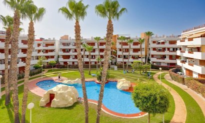 Apartamento - Segunda mano - Orihuela Costa -
                Punta Prima