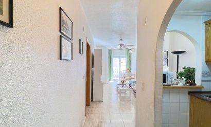 Apartamento - Segunda mano - Torrevieja -
                Acequion