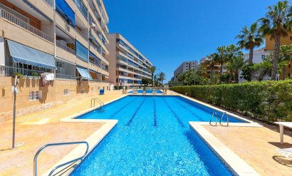 Apartamento - Segunda mano -
            Torrevieja - AM-02053