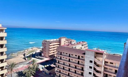 Apartamento - Segunda mano - Torrevieja -
                Cabo Cervera