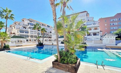 Apartamento - Segunda mano - Torrevieja -
                Los Europeos