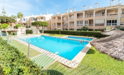 Apartment - Resale - Torrevieja -
                Los Frutales