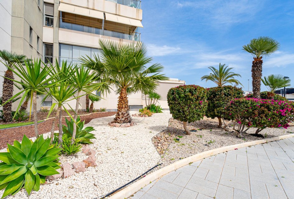 Återförsäljning - Apartament -
Los Dolses - Villamartin