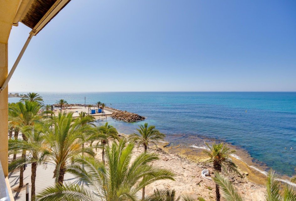 Återförsäljning - Buhardilla -
Torrevieja - Estacion de autobuses