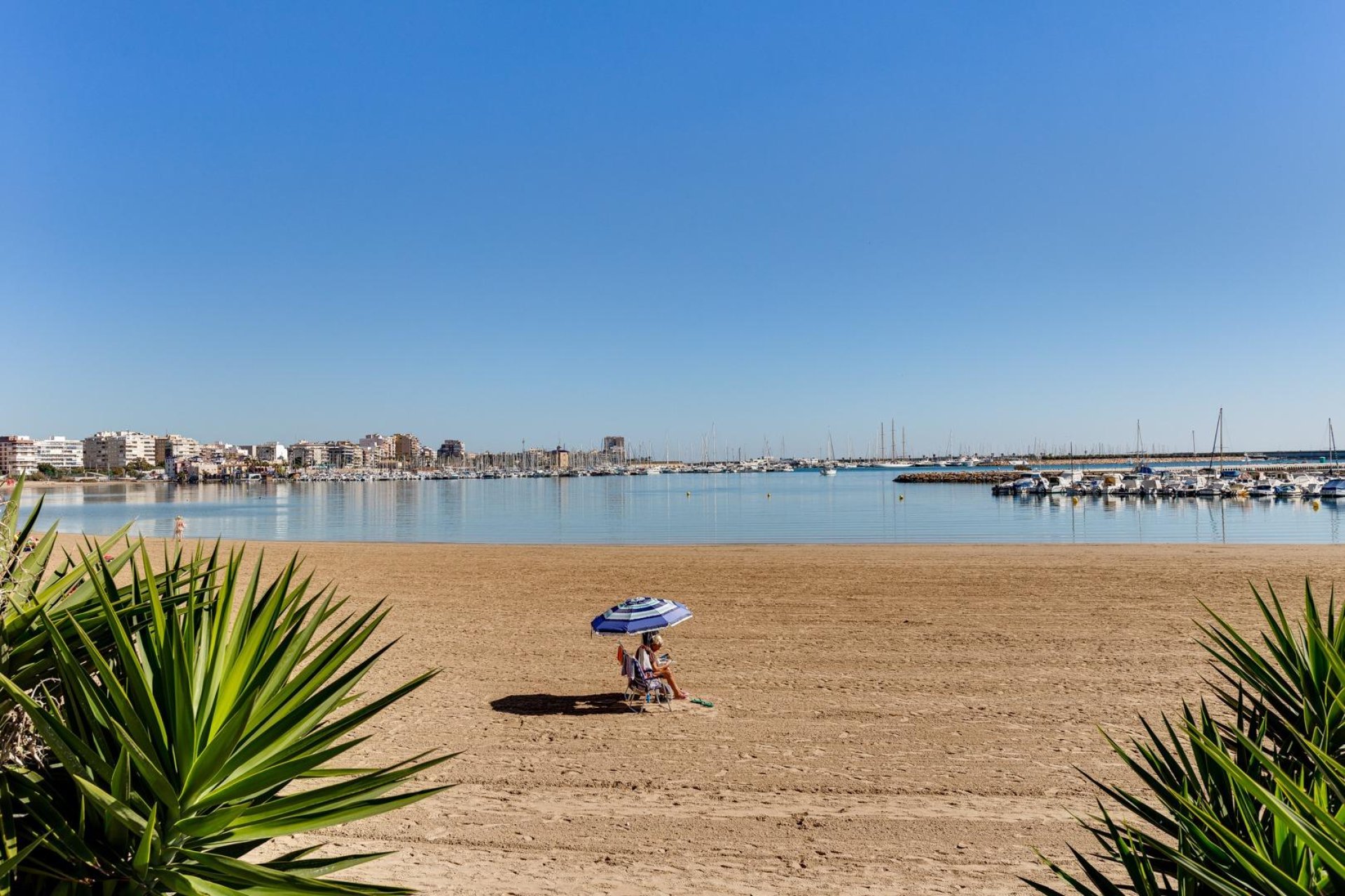 Återförsäljning - Bungalow -
Torrevieja - Centro - Muelle Pesquero