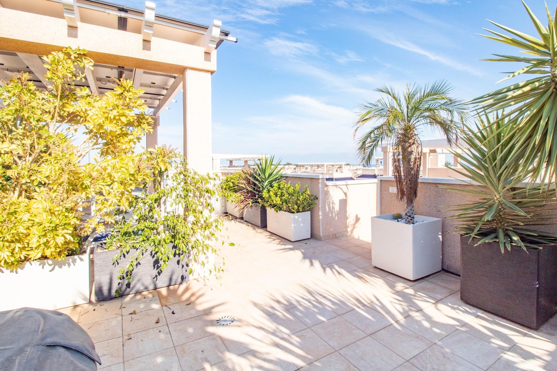 Återförsäljning - Bungalow -
Torrevieja - Punta Prima