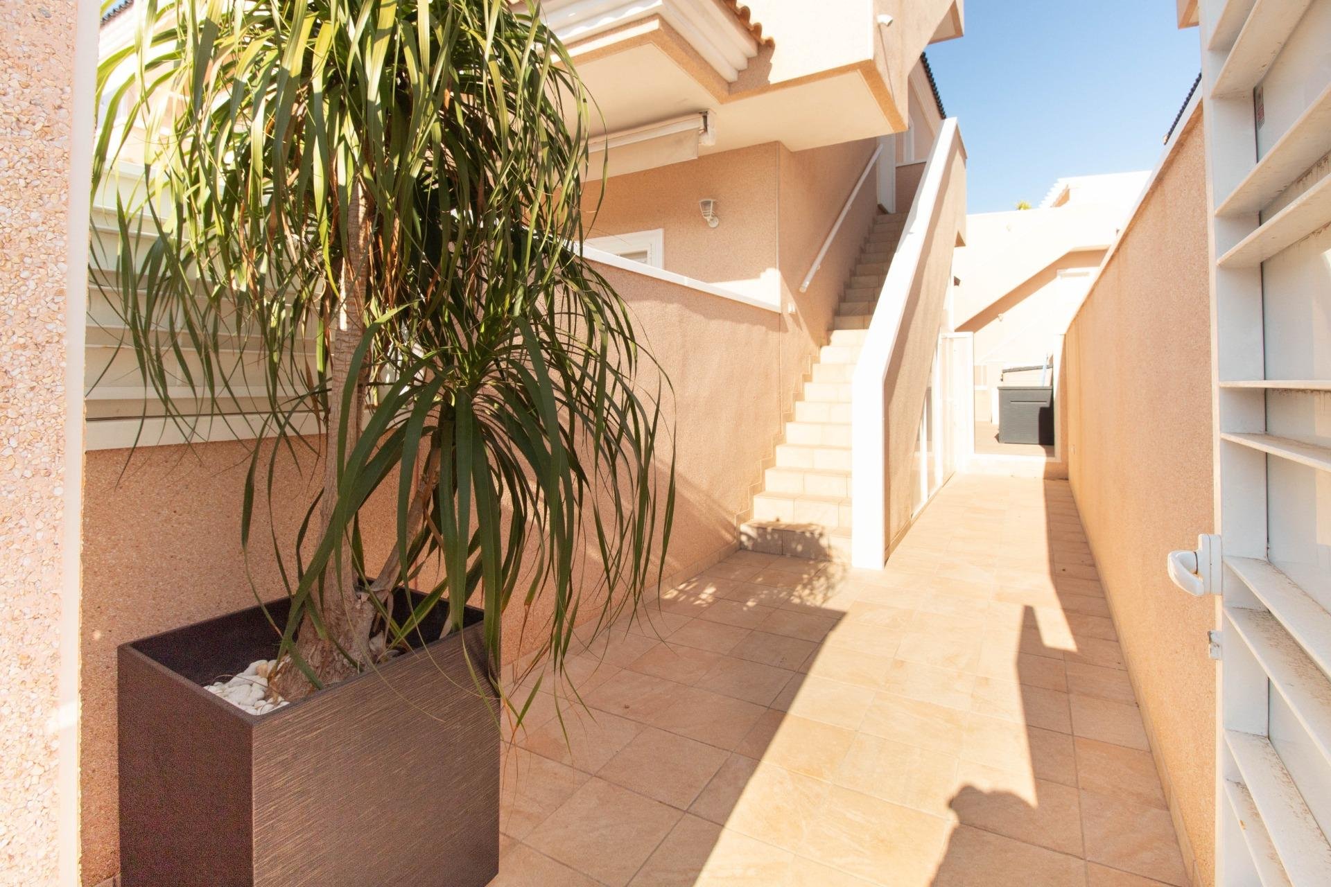 Återförsäljning - Bungalow -
Torrevieja - Punta Prima
