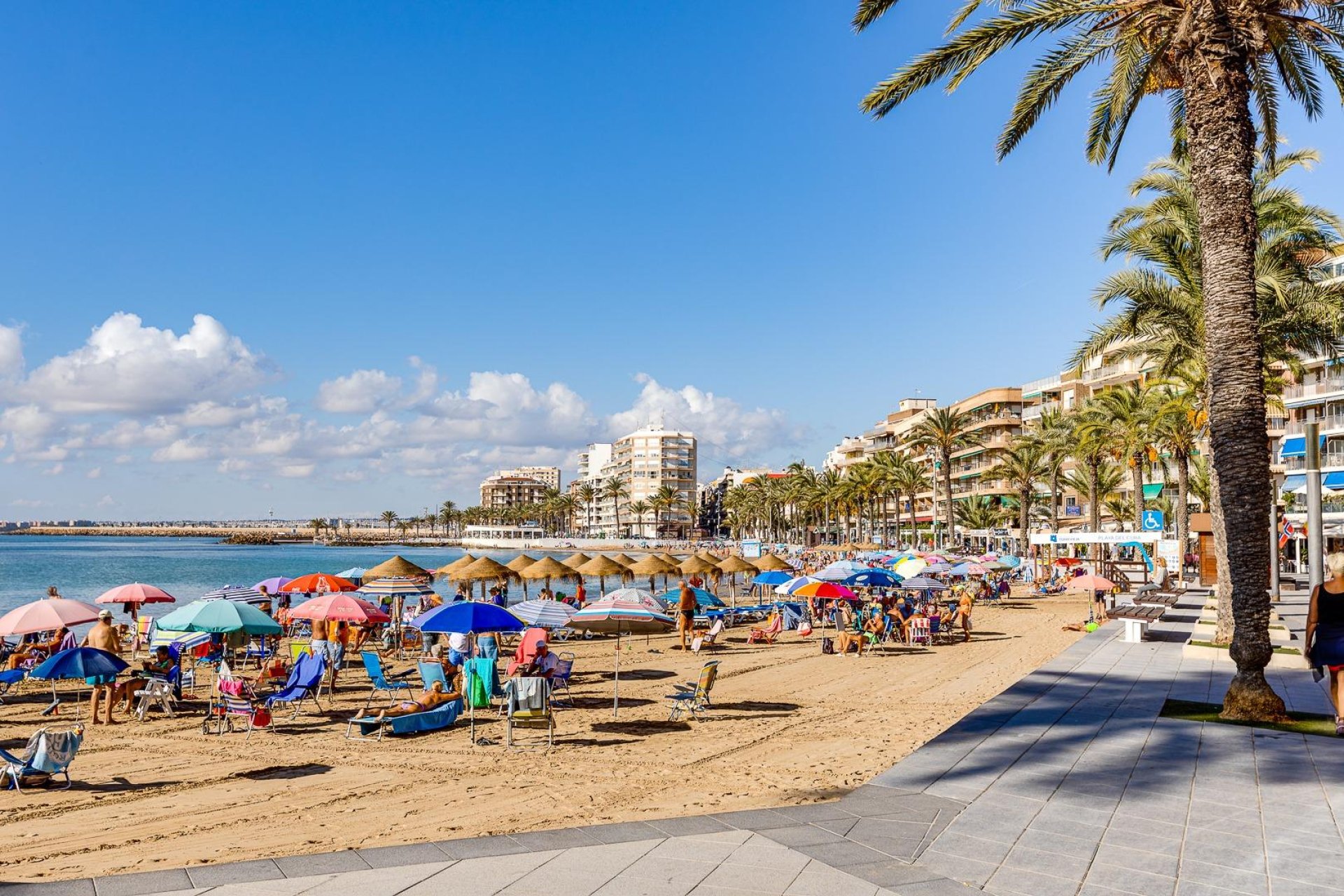 Återförsäljning - Lägenhet -
Torrevieja - Centro