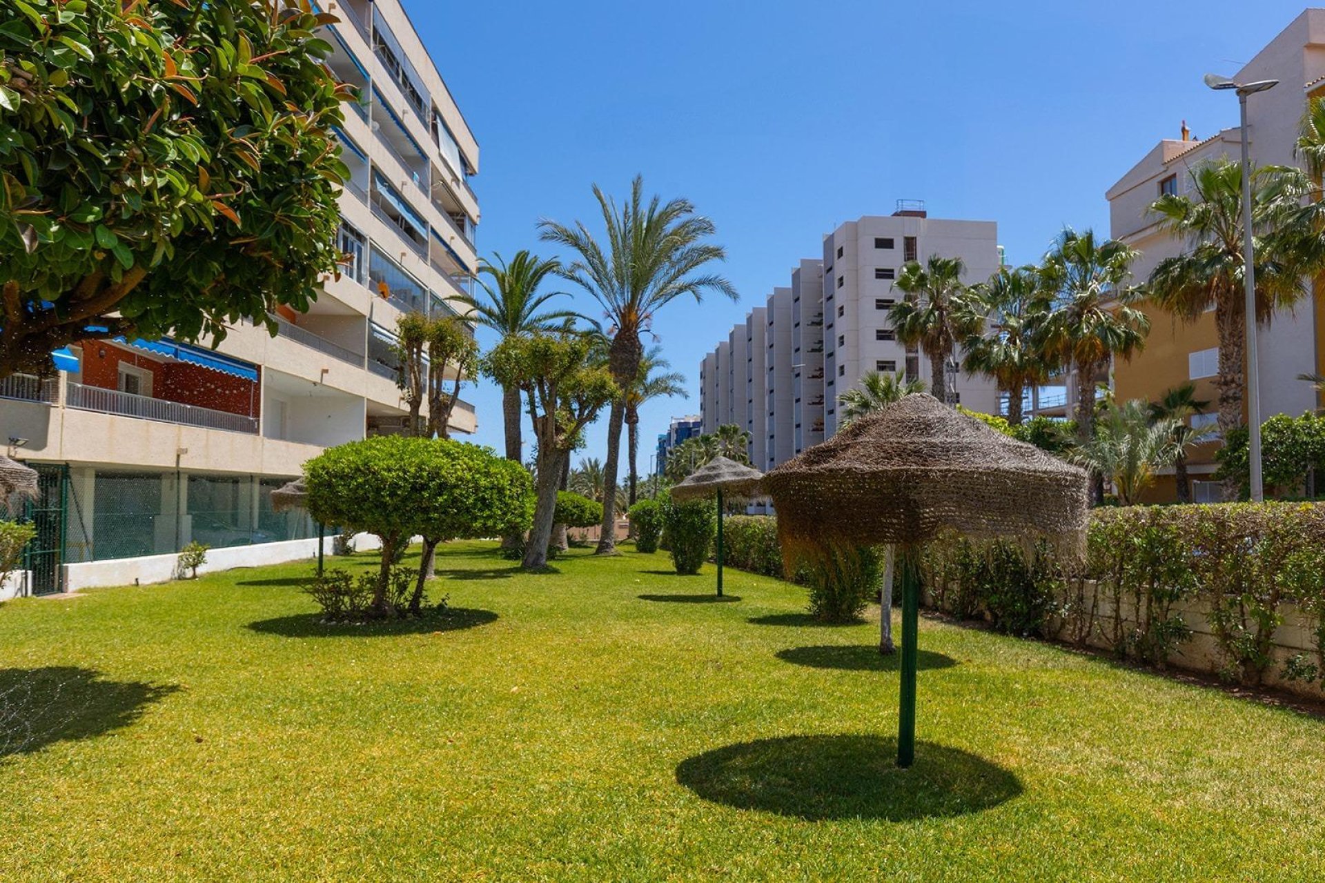 Återförsäljning - Lägenhet -
Torrevieja - Punta prima