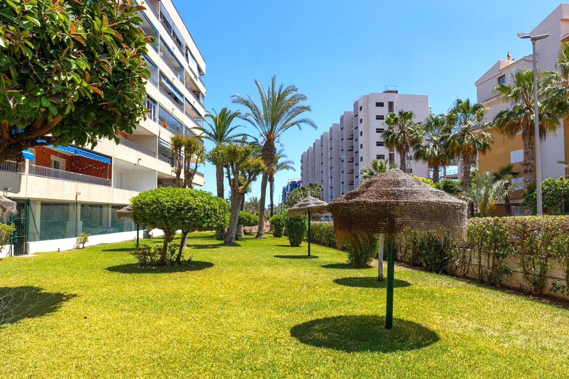 Återförsäljning - Lägenhet -
Torrevieja - Punta prima