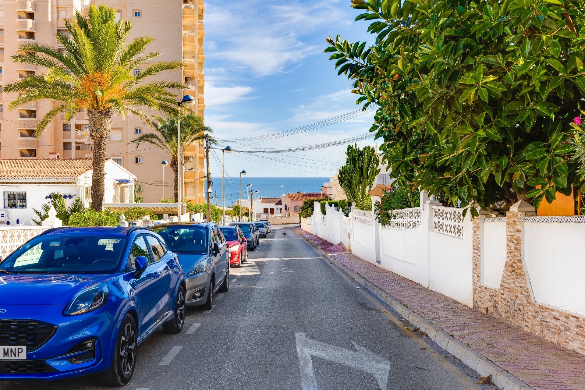 Återförsäljning - Lägenhet -
Torrevieja - Sector 25