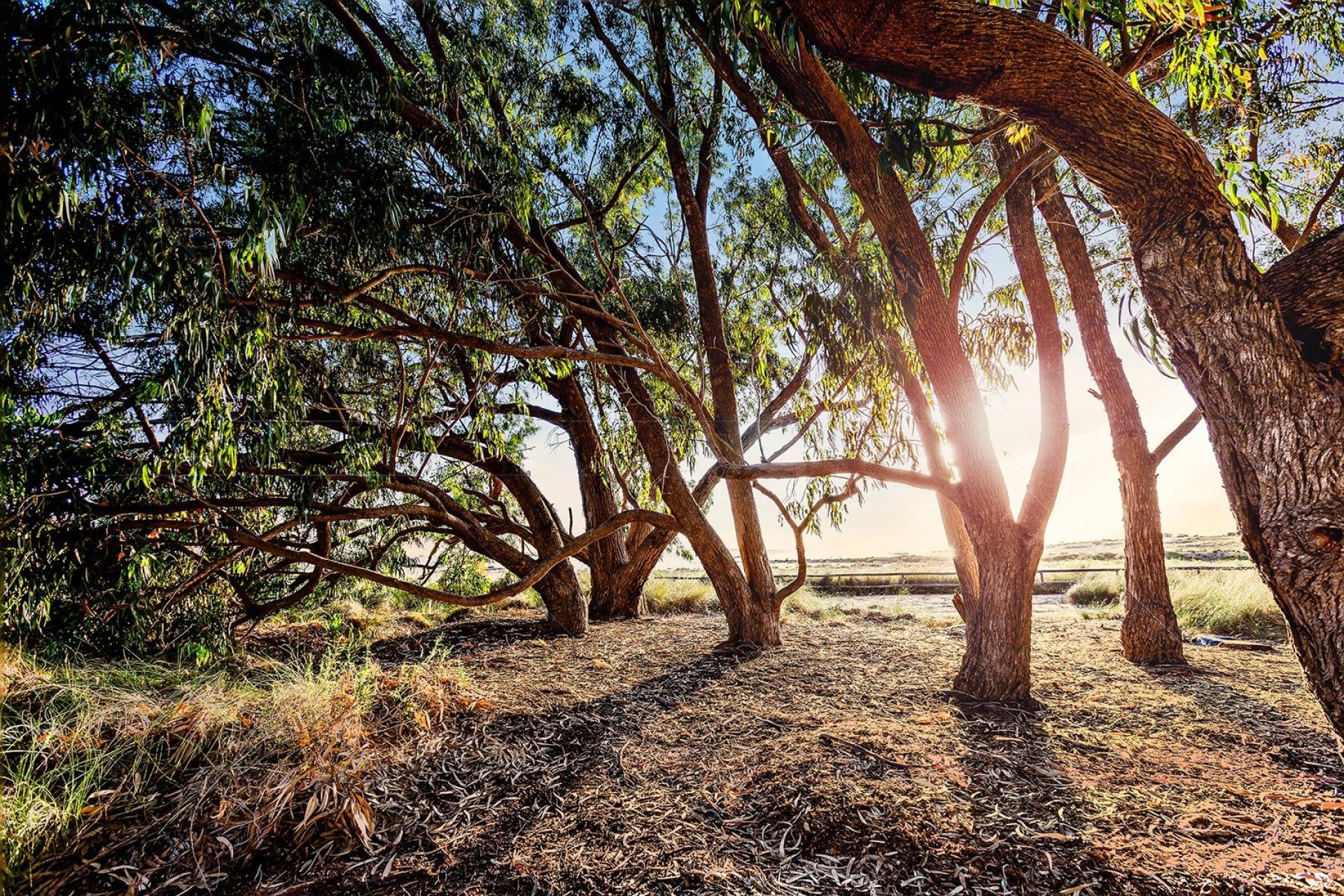 Återförsäljning - Radhus -
Torrevieja - La Siesta - El Salado - Torreta