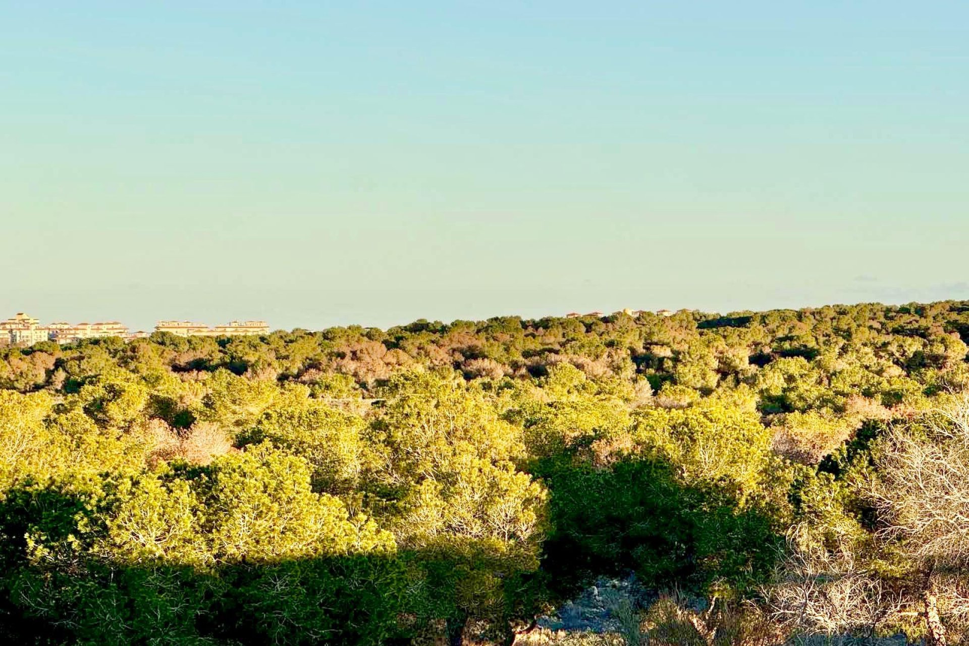 Återförsäljning - Radhus -
Torrevieja - La siesta