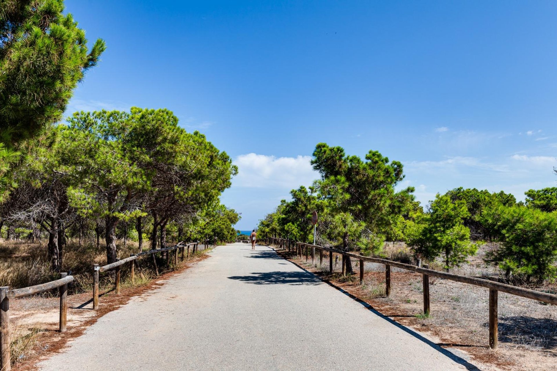 Återförsäljning - Takvåning -
Guardamar del Segura - Urbanizaciones