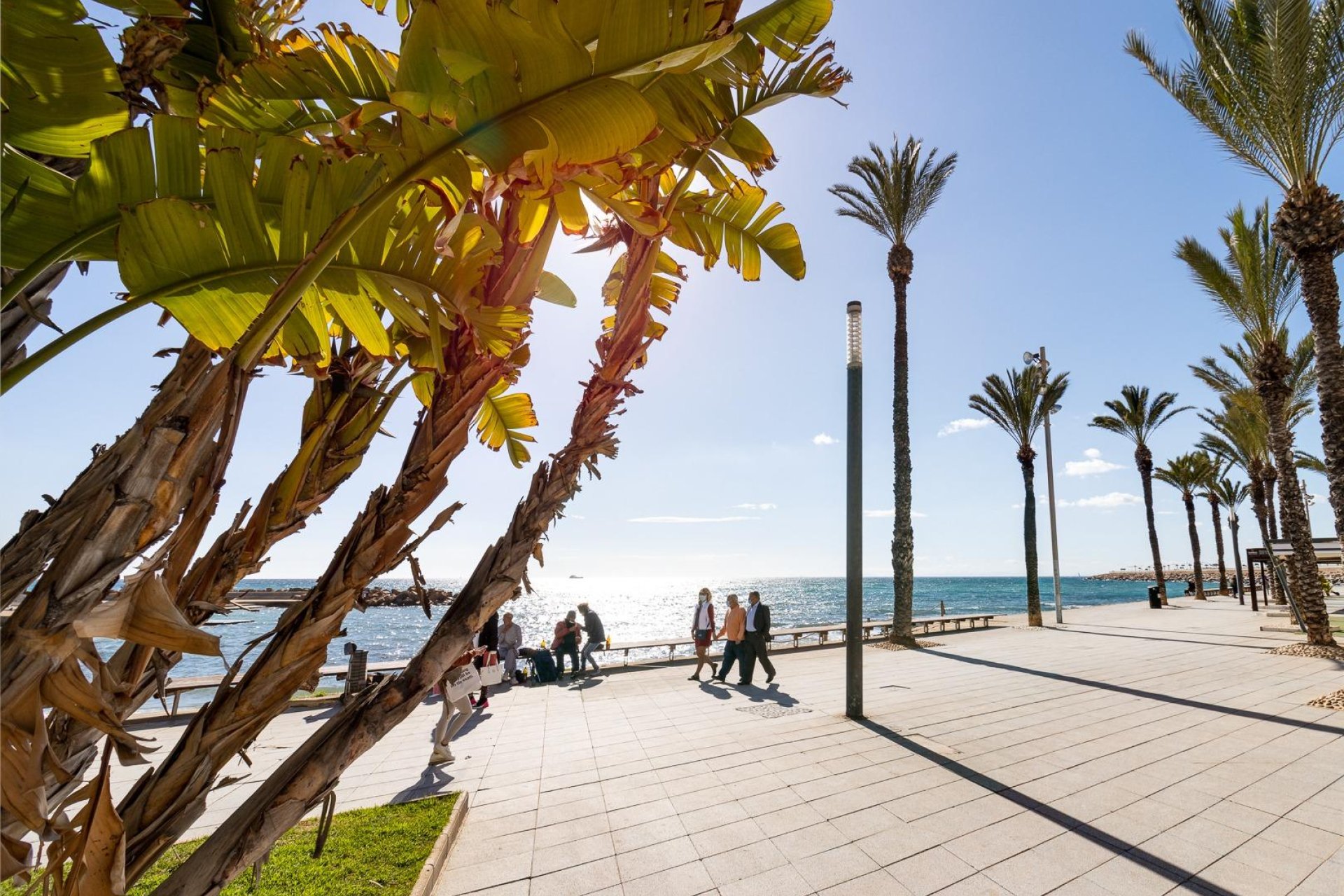 Återförsäljning - Takvåning -
Torrevieja - Centro