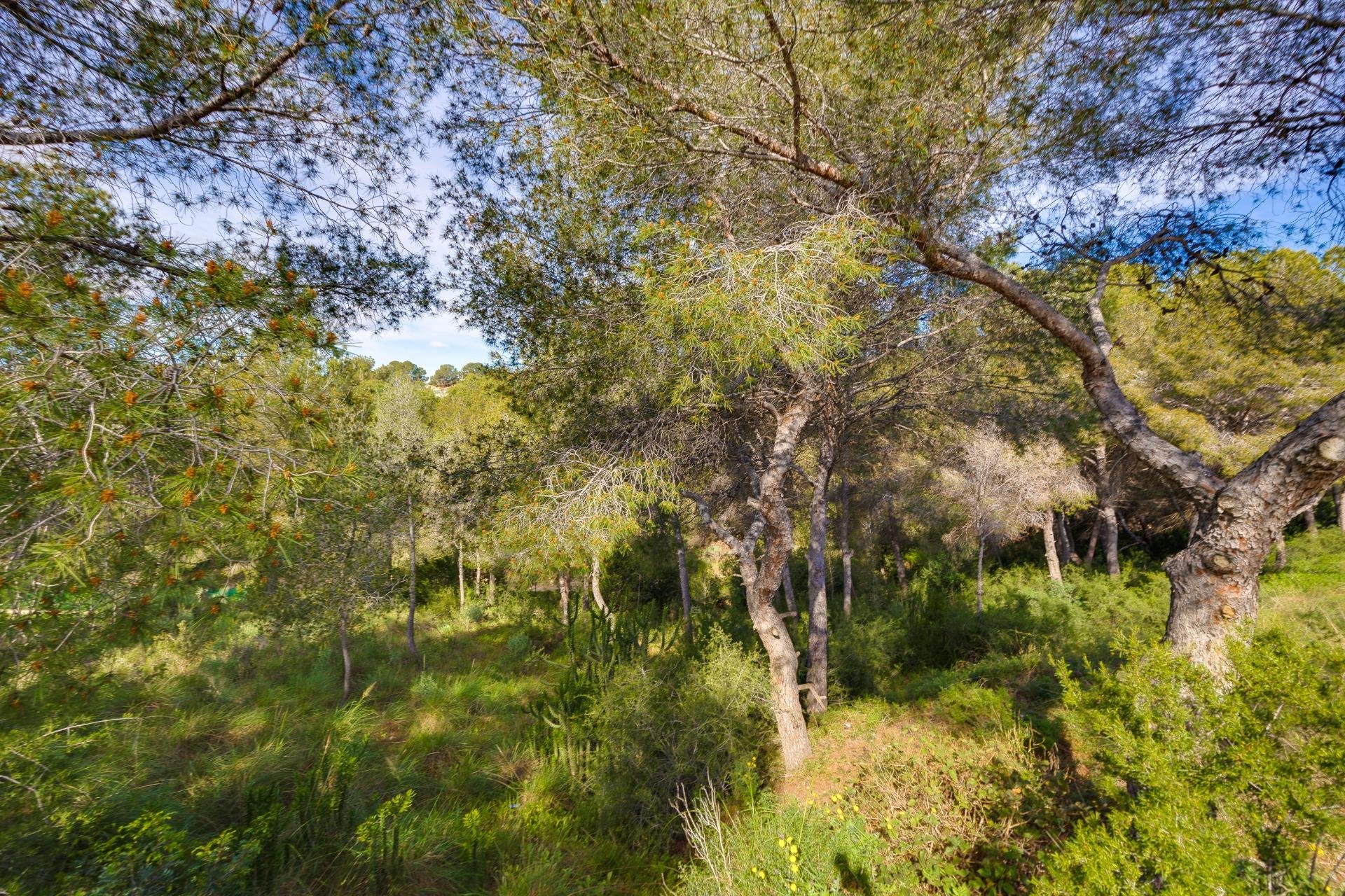 Återförsäljning - Villa -
Pilar de la Horadada - Pinar de Campoverde