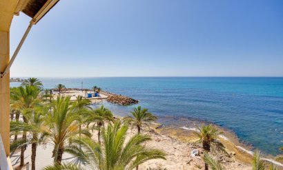 Buhardilla - Wiederverkauf - Torrevieja -
                Estacion de autobuses