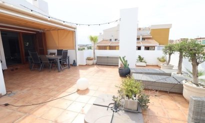 Daszek - Odsprzedaż - Torrevieja -
                Punta prima