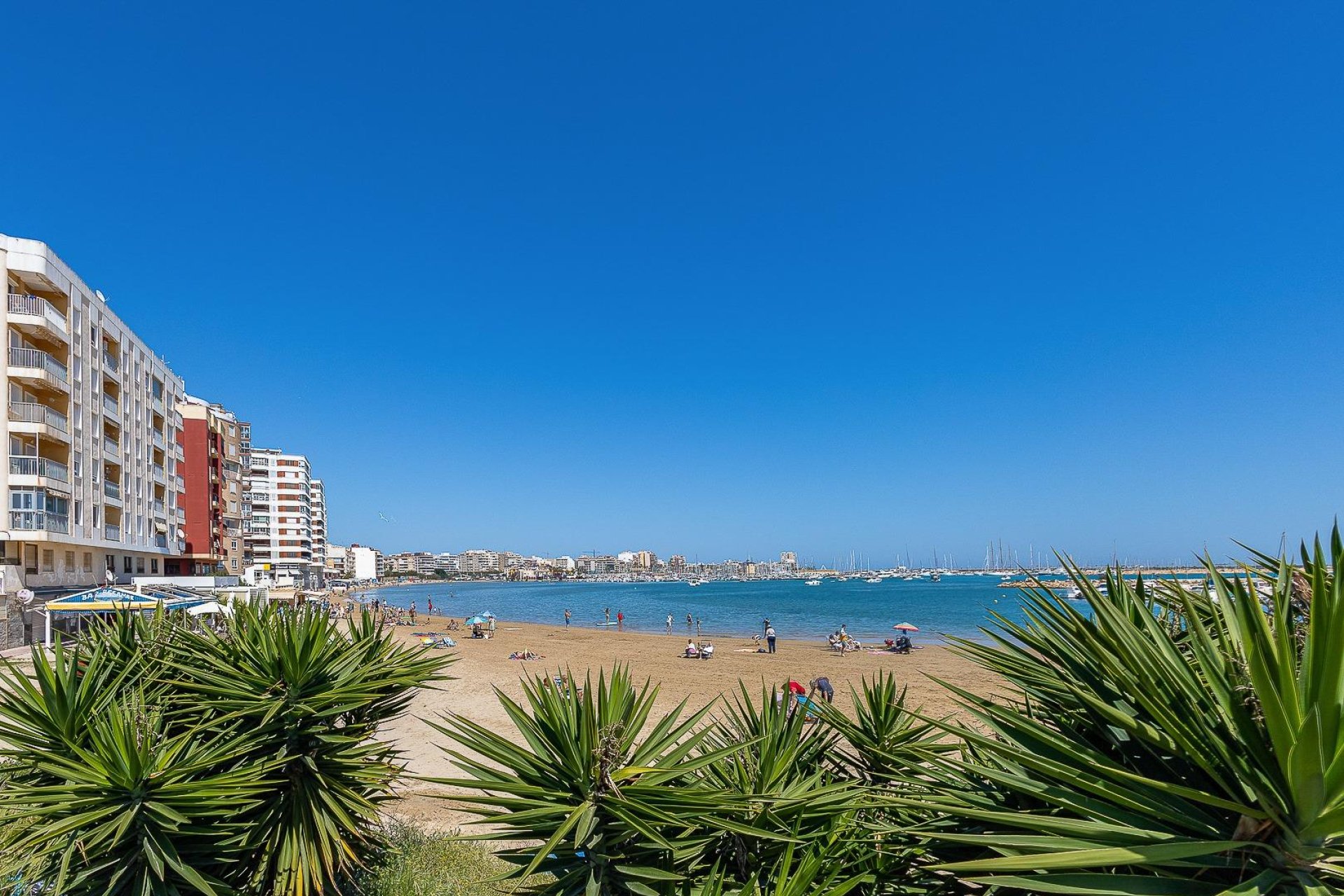 Herverkoop - duplex -
Torrevieja - Acequion