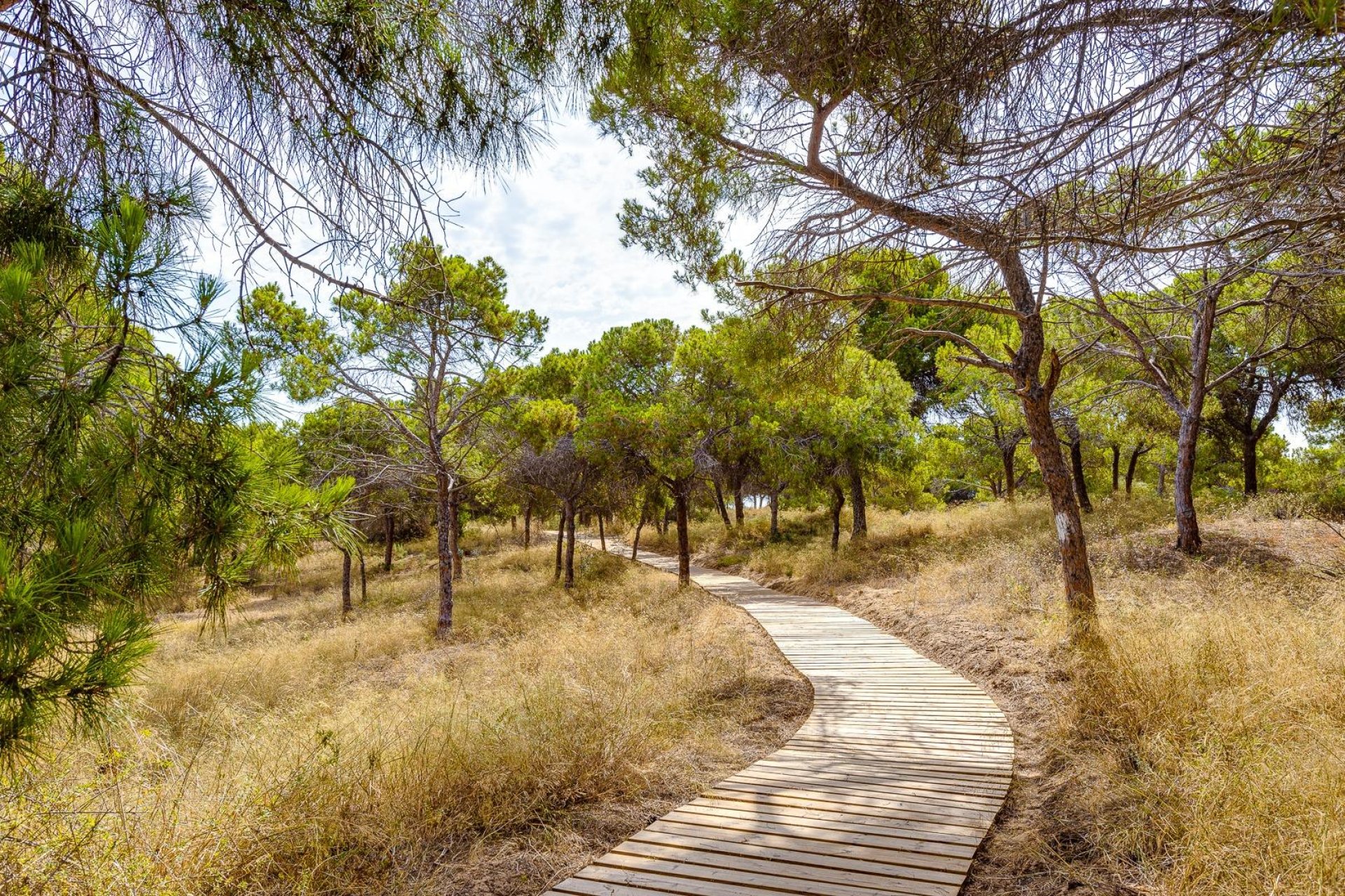 Herverkoop - Penthouse -
Guardamar del Segura - Urbanizaciones