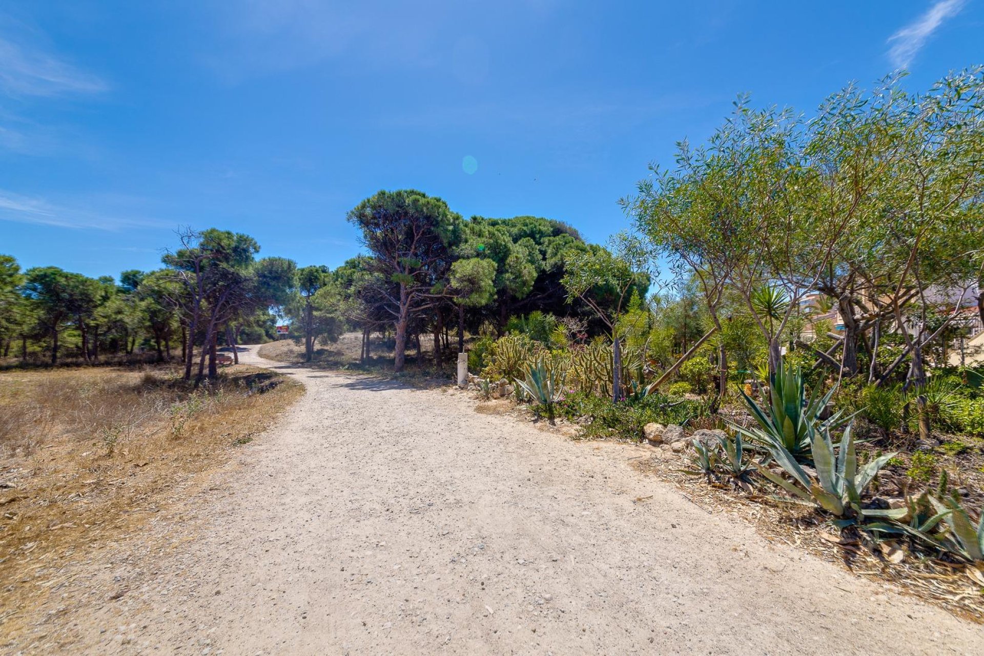 Herverkoop - Penthouse -
Guardamar del Segura - Urbanizaciones