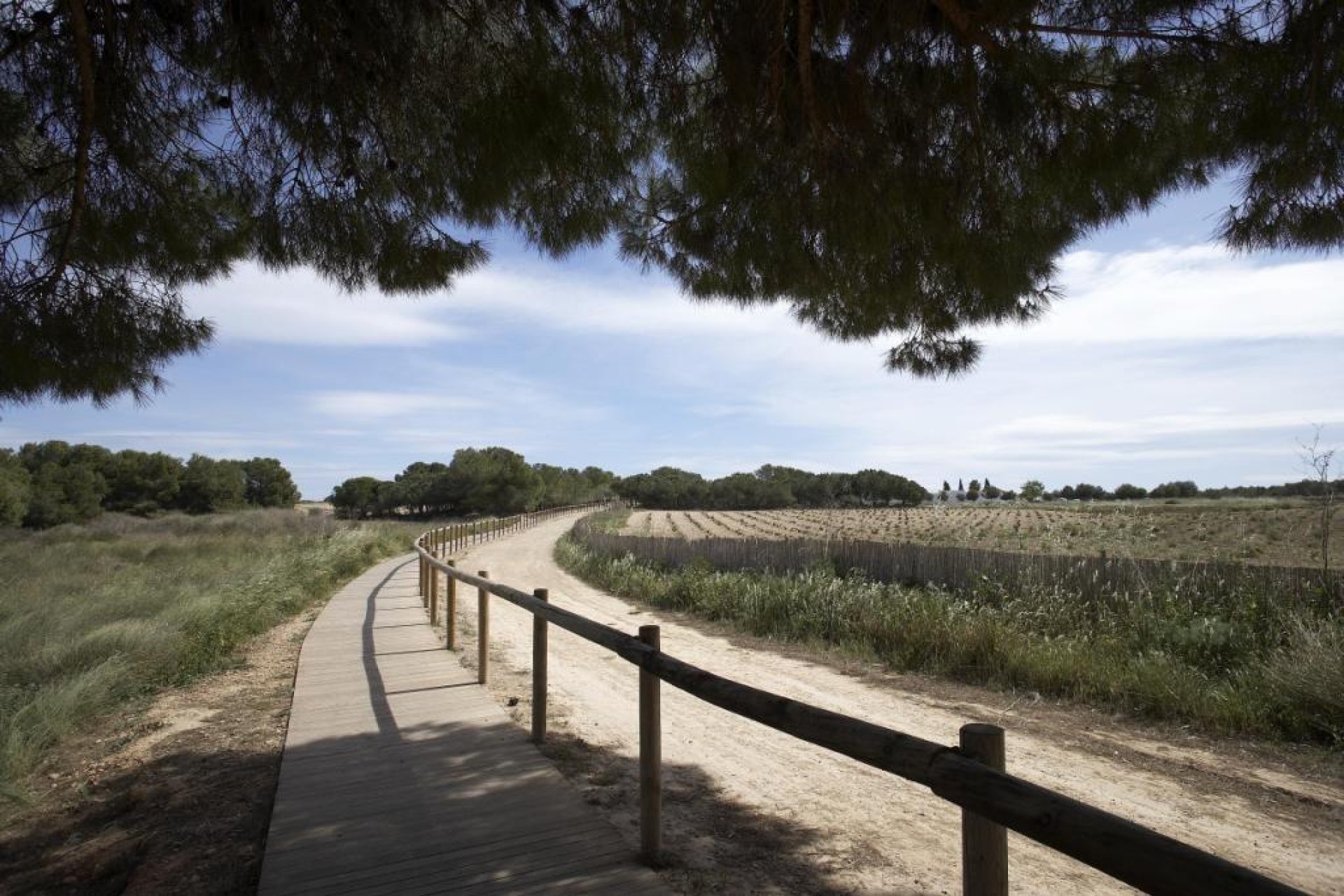Neue Gebäude - Bungalow -
Torrevieja - torrevieja