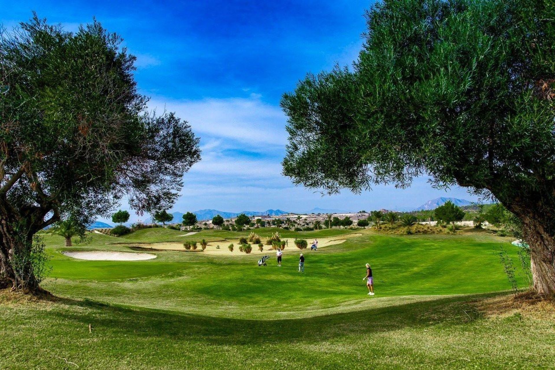Nouvelle construction - Buhardilla -
Jacarilla - Comunidad valenciana