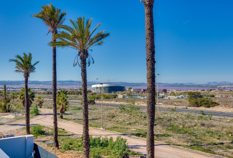 Nouvelle construction - Villa -
Torrevieja - Parque Acuático - Sector 25