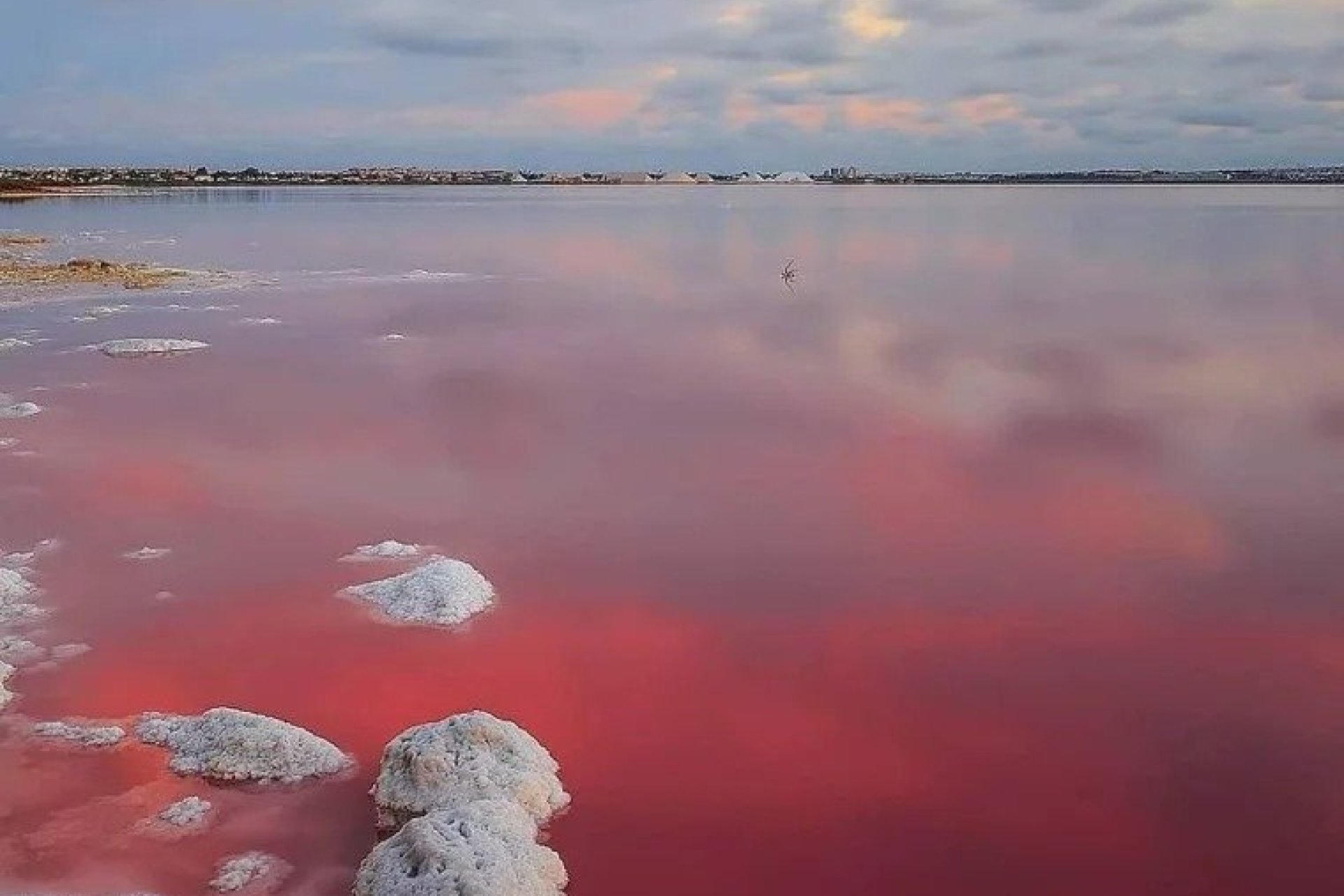 Obra nueva - Adosado -
Torrevieja - Lago jardin