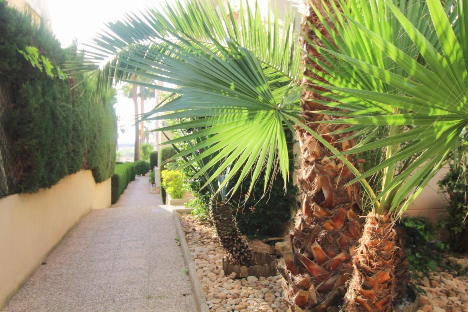 Odsprzedaż - Apartamento -
Torrevieja - La Veleta