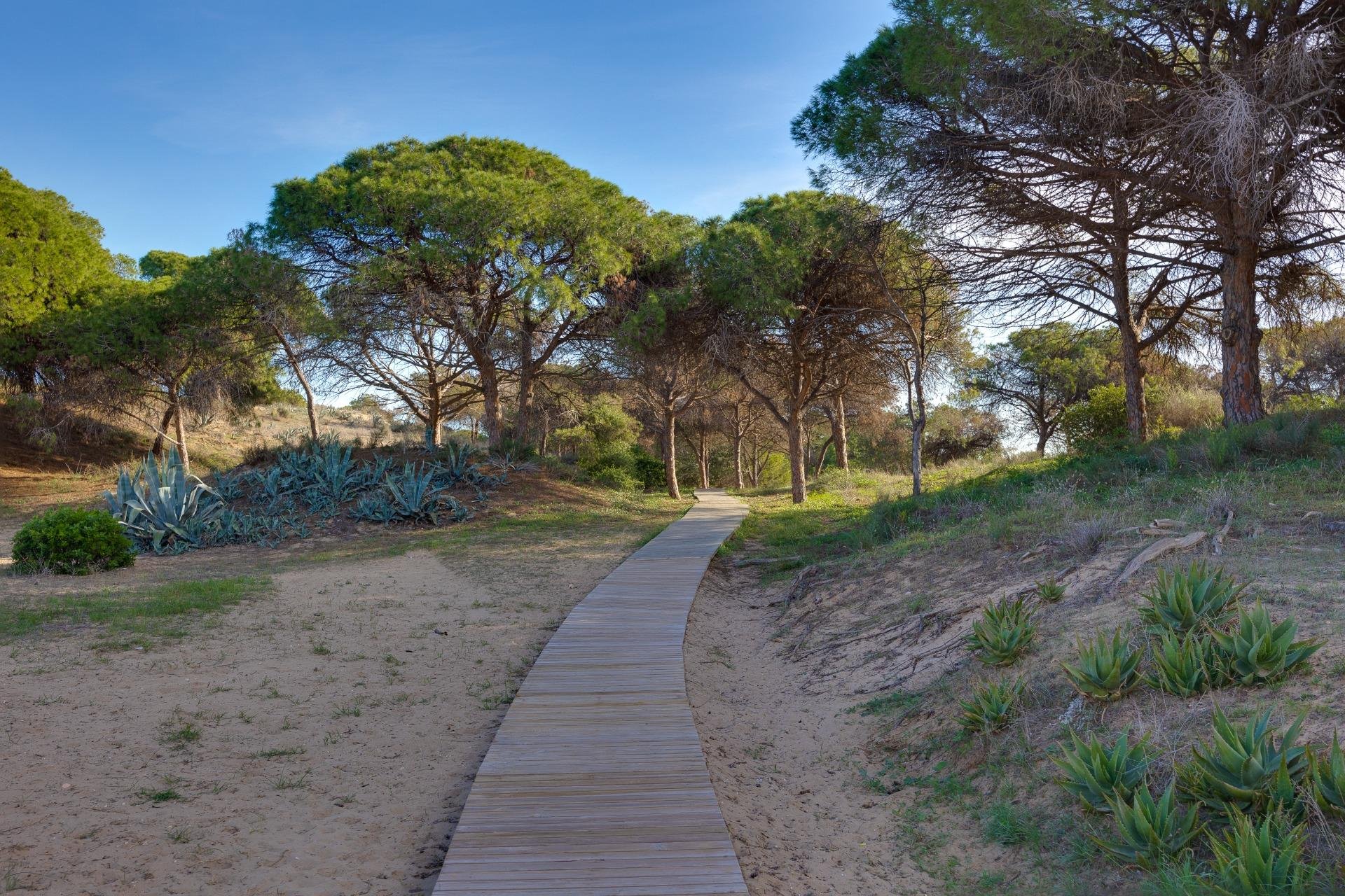 Odsprzedaż - Daszek -
Guardamar del Segura - Urbanizaciones