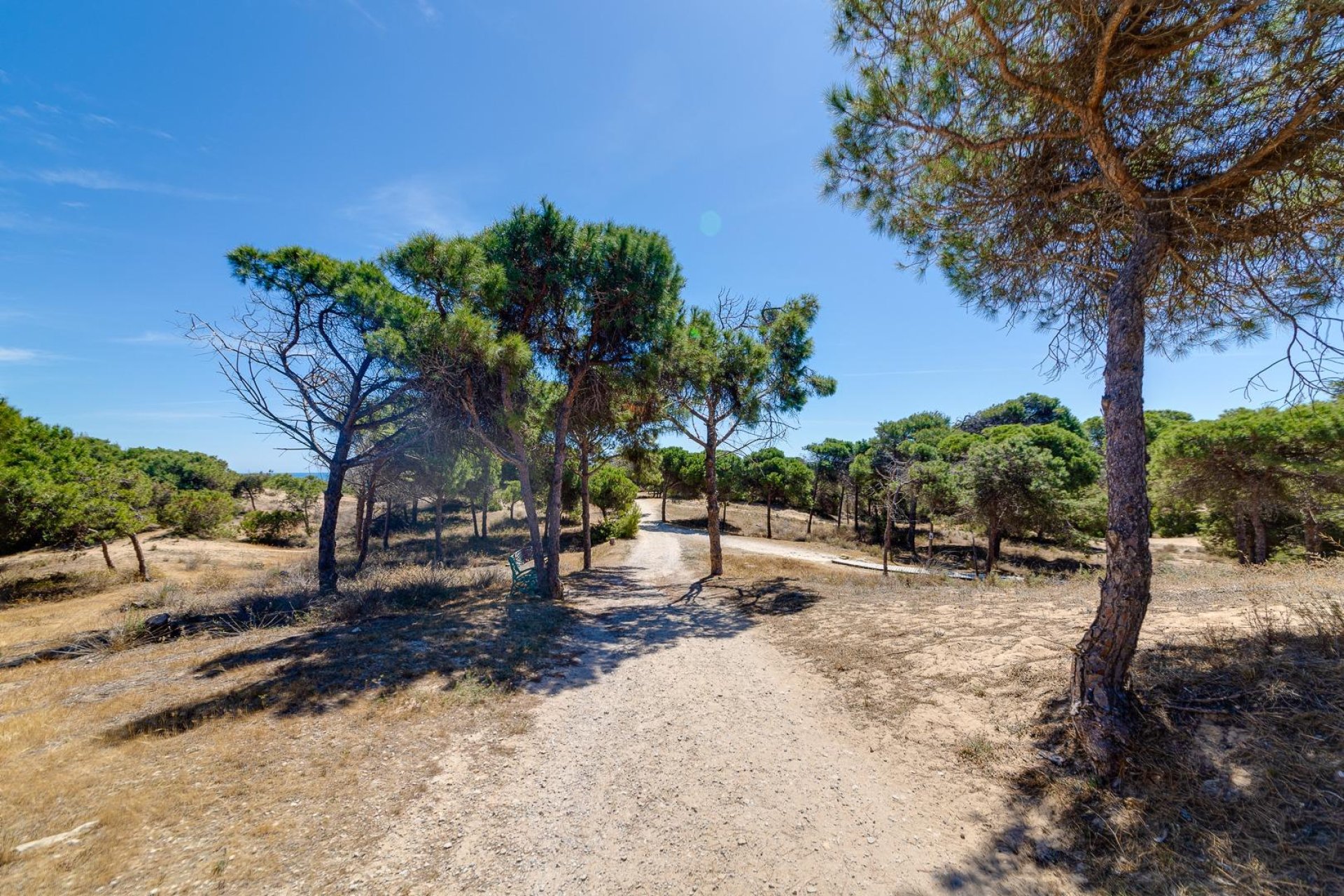 Odsprzedaż - Daszek -
Guardamar del Segura - Urbanizaciones