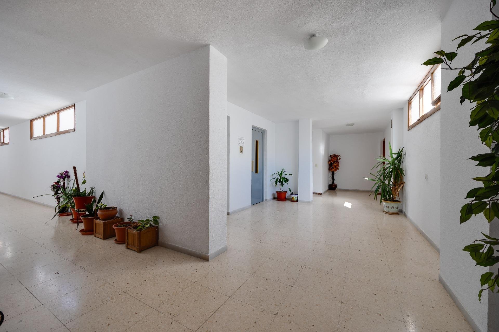 Odsprzedaż - Daszek -
Torrevieja - Acequion