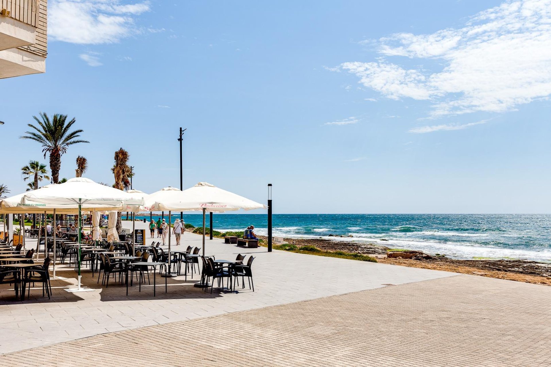 Odsprzedaż - Daszek -
Torrevieja - Centro