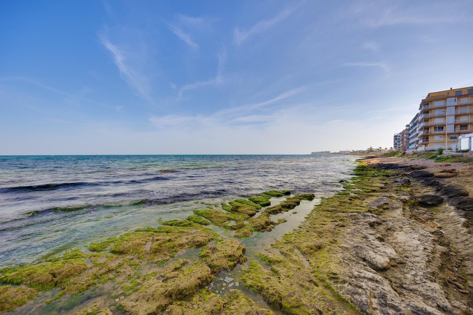 Odsprzedaż - Daszek -
Torrevieja - Playa de los Naufragos