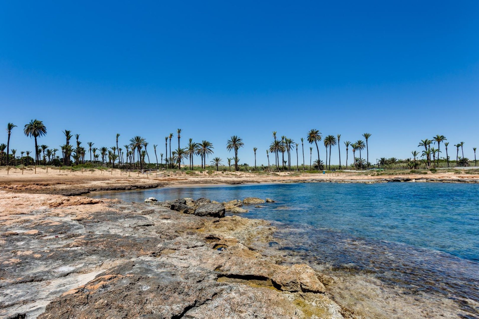 Odsprzedaż - Daszek -
Torrevieja - Punta prima