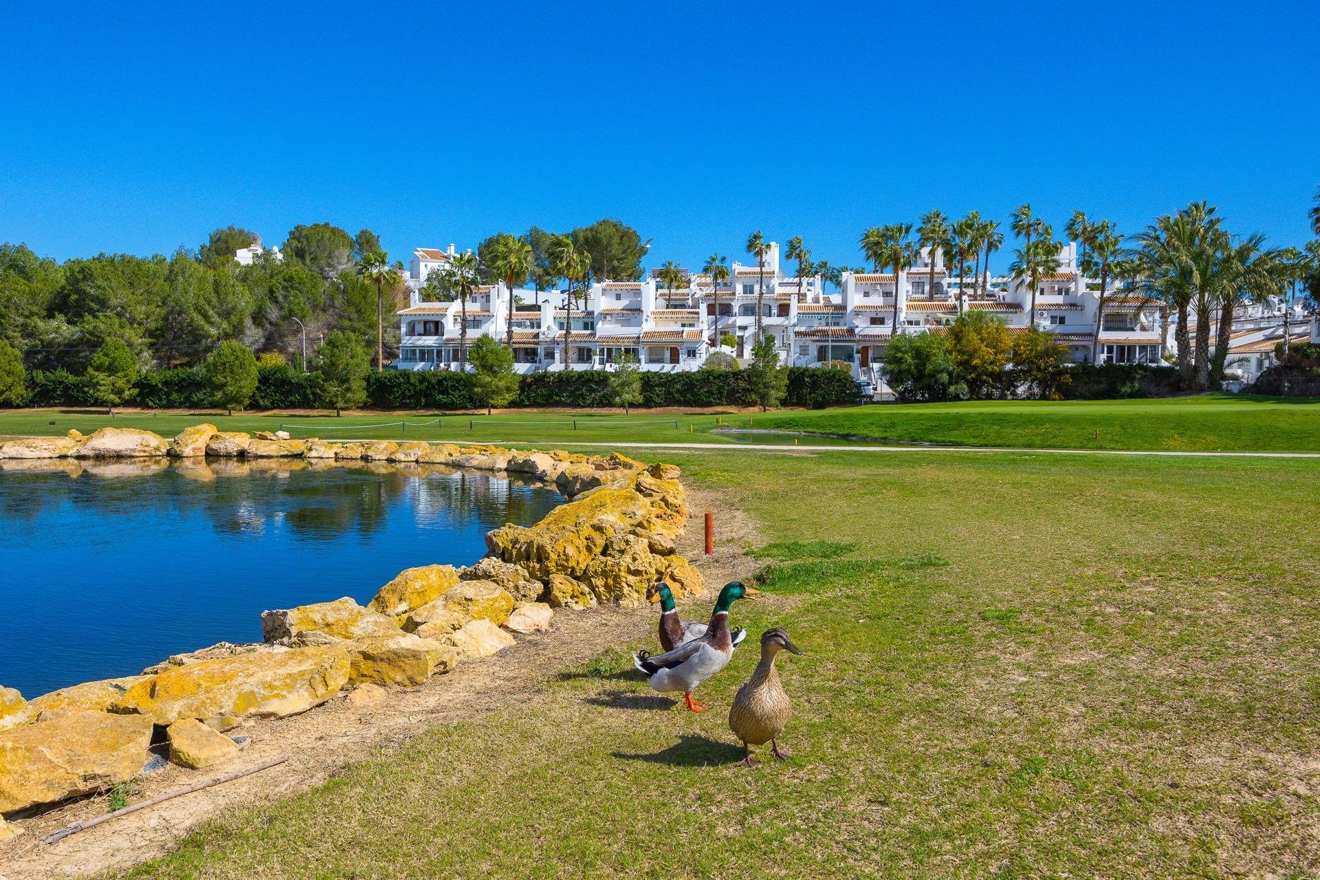 Odsprzedaż - Kamienica -
Orihuela Costa - Los Dolses