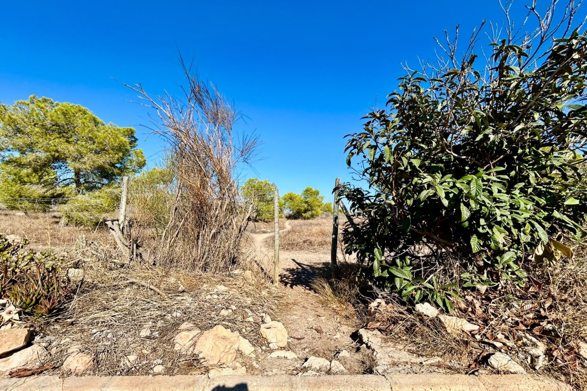 Odsprzedaż - Kamienica -
Torrevieja - La siesta