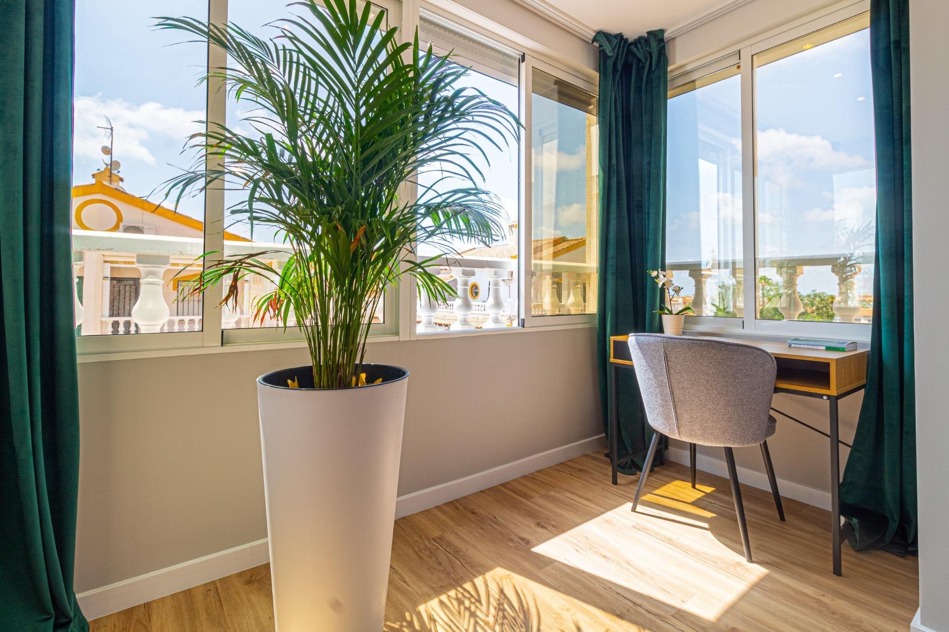 Odsprzedaż - Terraced house -
Torrevieja - Los altos