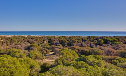 Penthouse - Resale -
            Guardamar del Segura - AM-02112