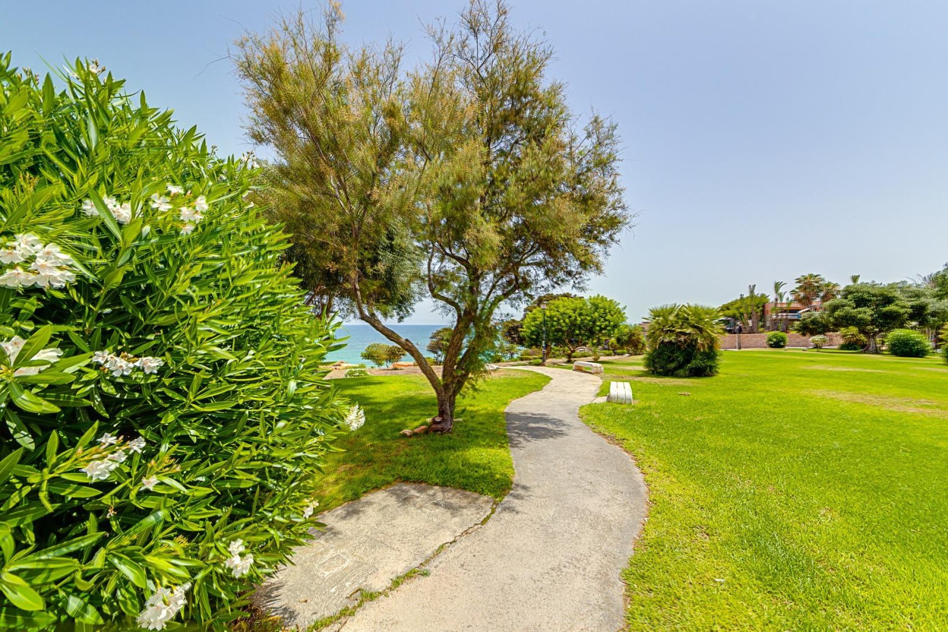 Resale - Apartment -
Orihuela Costa - Campoamor