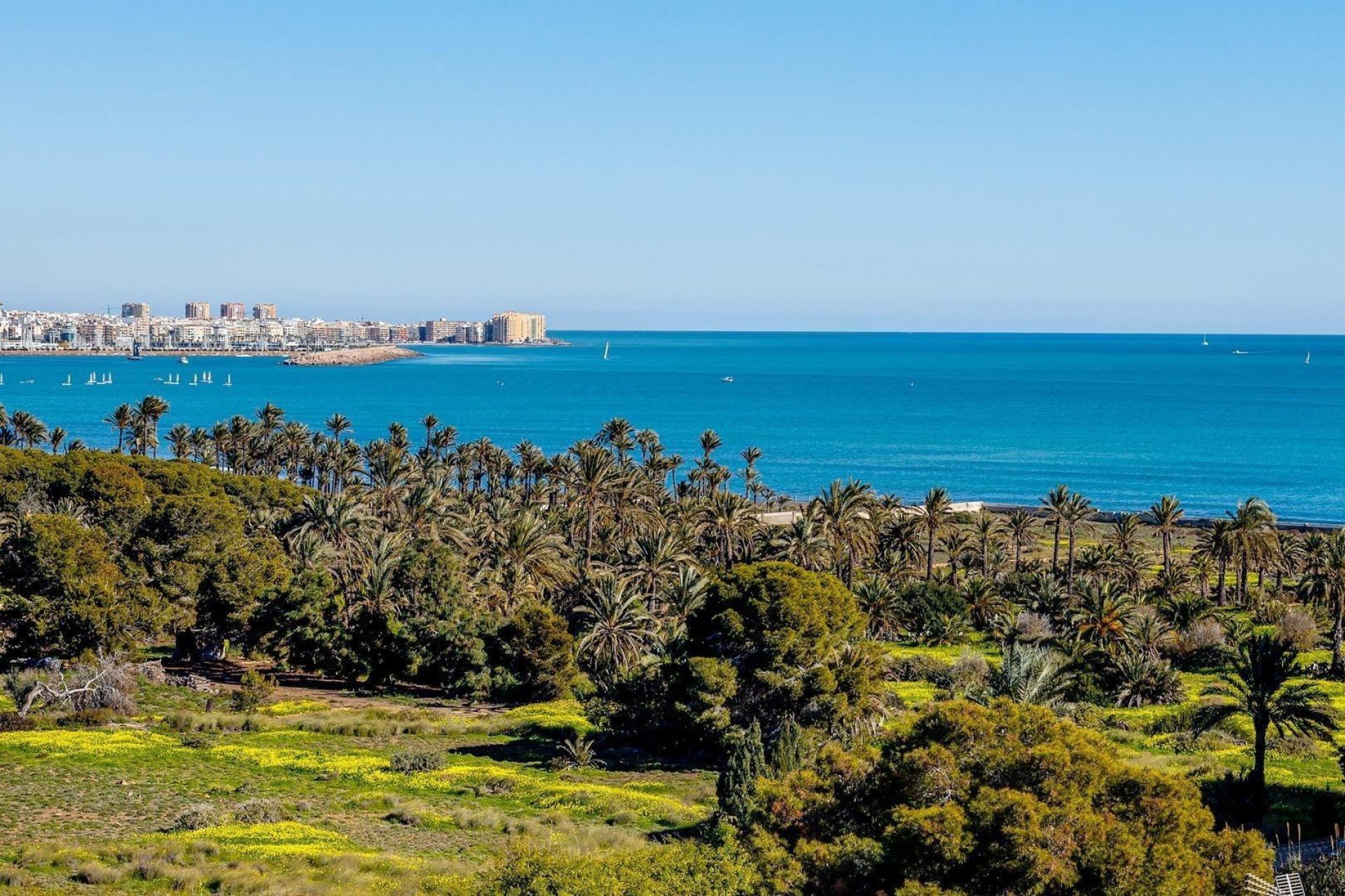 Resale - Apartment -
Orihuela Costa - Punta Prima