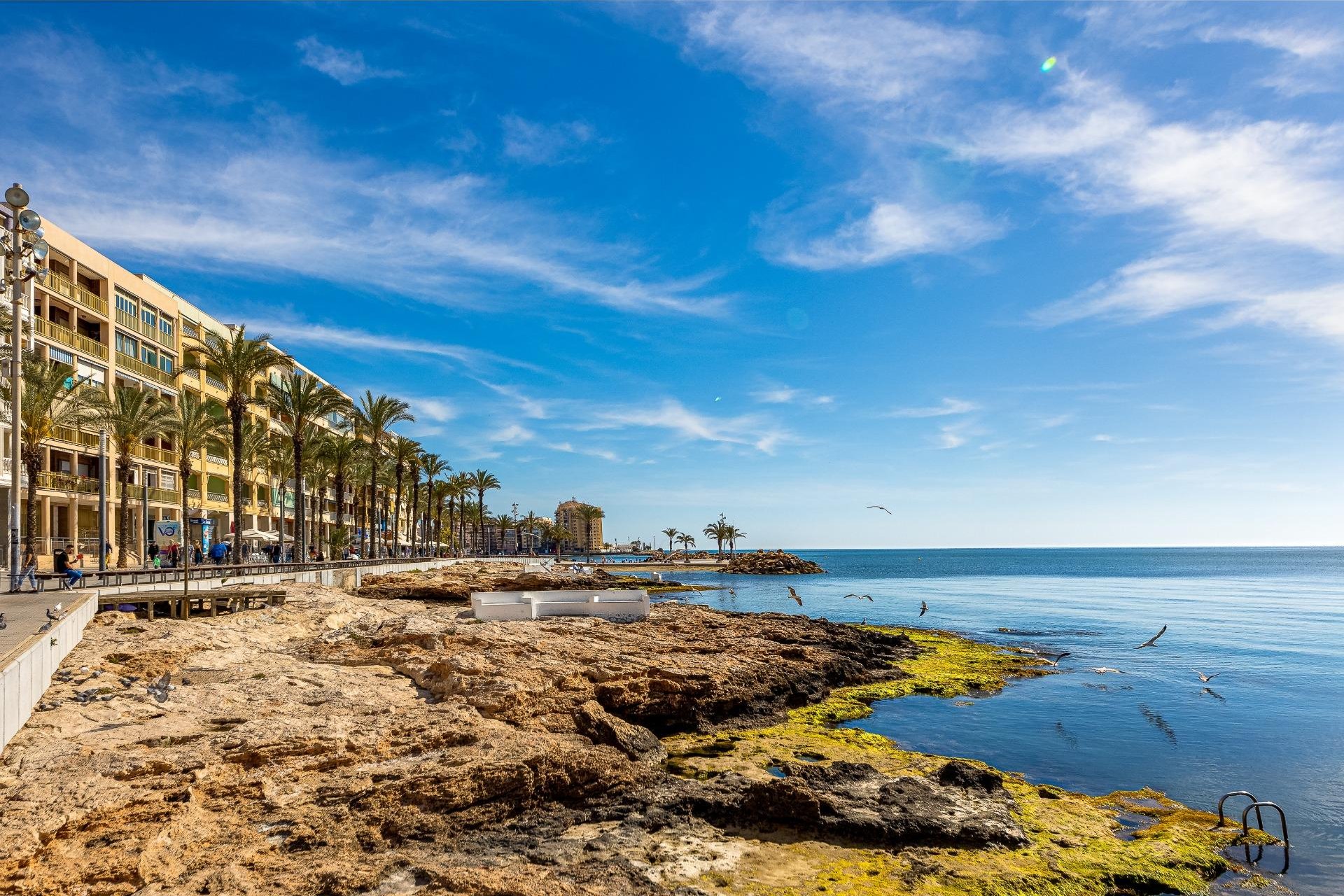 Resale - Apartment -
Torrevieja - Playa del Cura