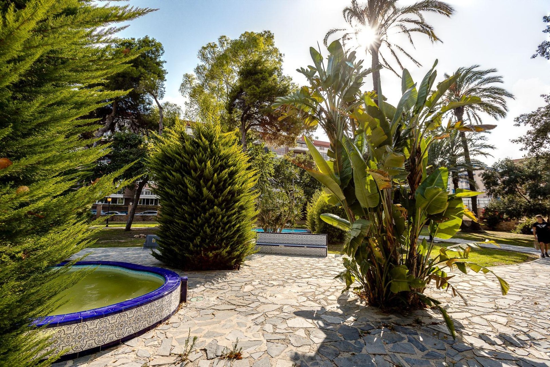 Resale - Duplex -
Torrevieja - Acequion