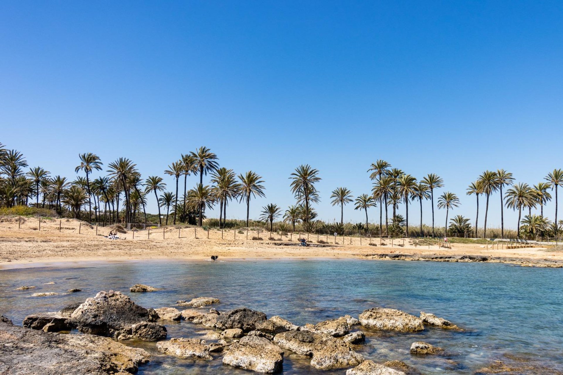 Resale - Penthouse -
Torrevieja - La Veleta