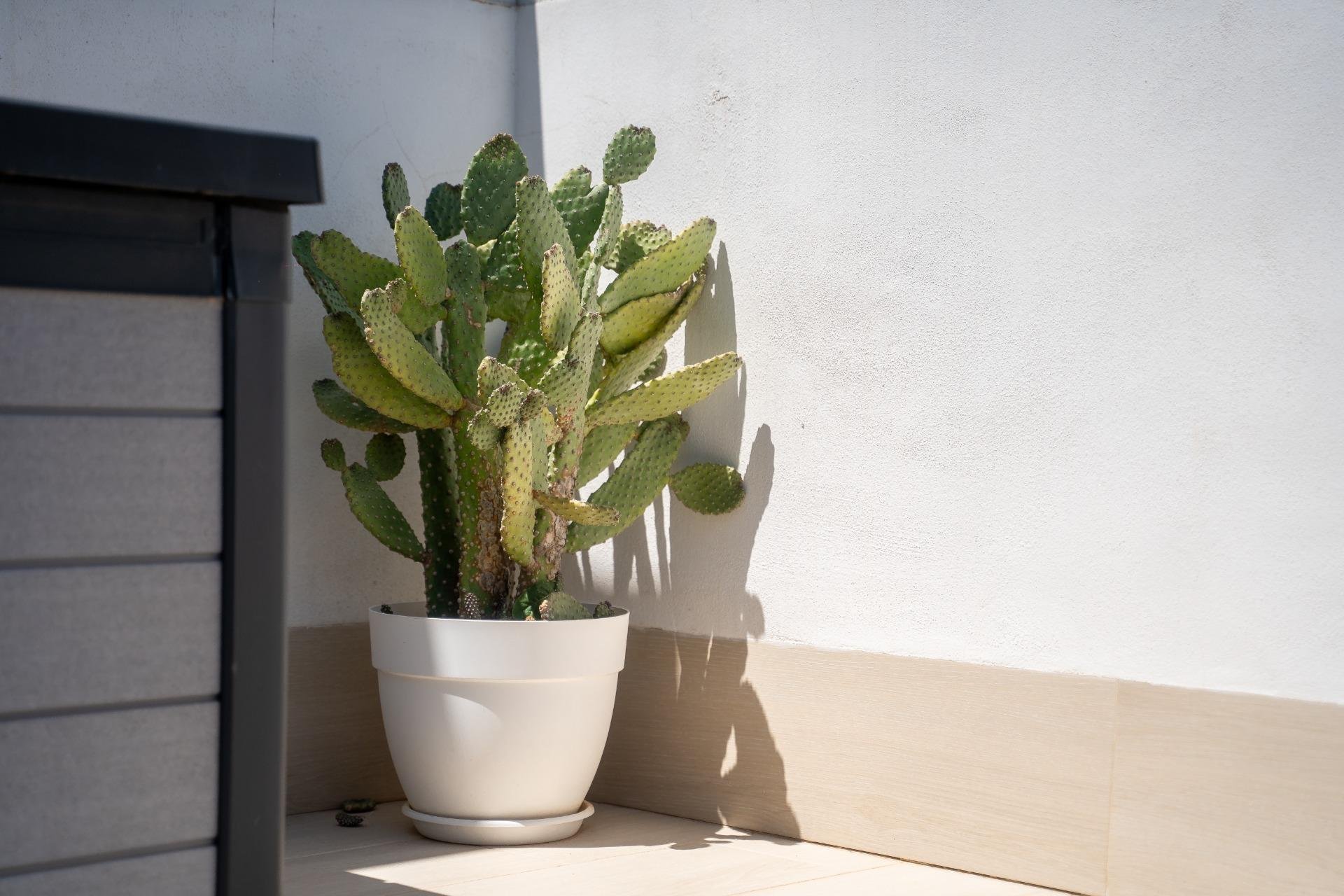 Resale - Townhouse -
Orihuela Costa - Lomas de Cabo Roig-Los Dolses