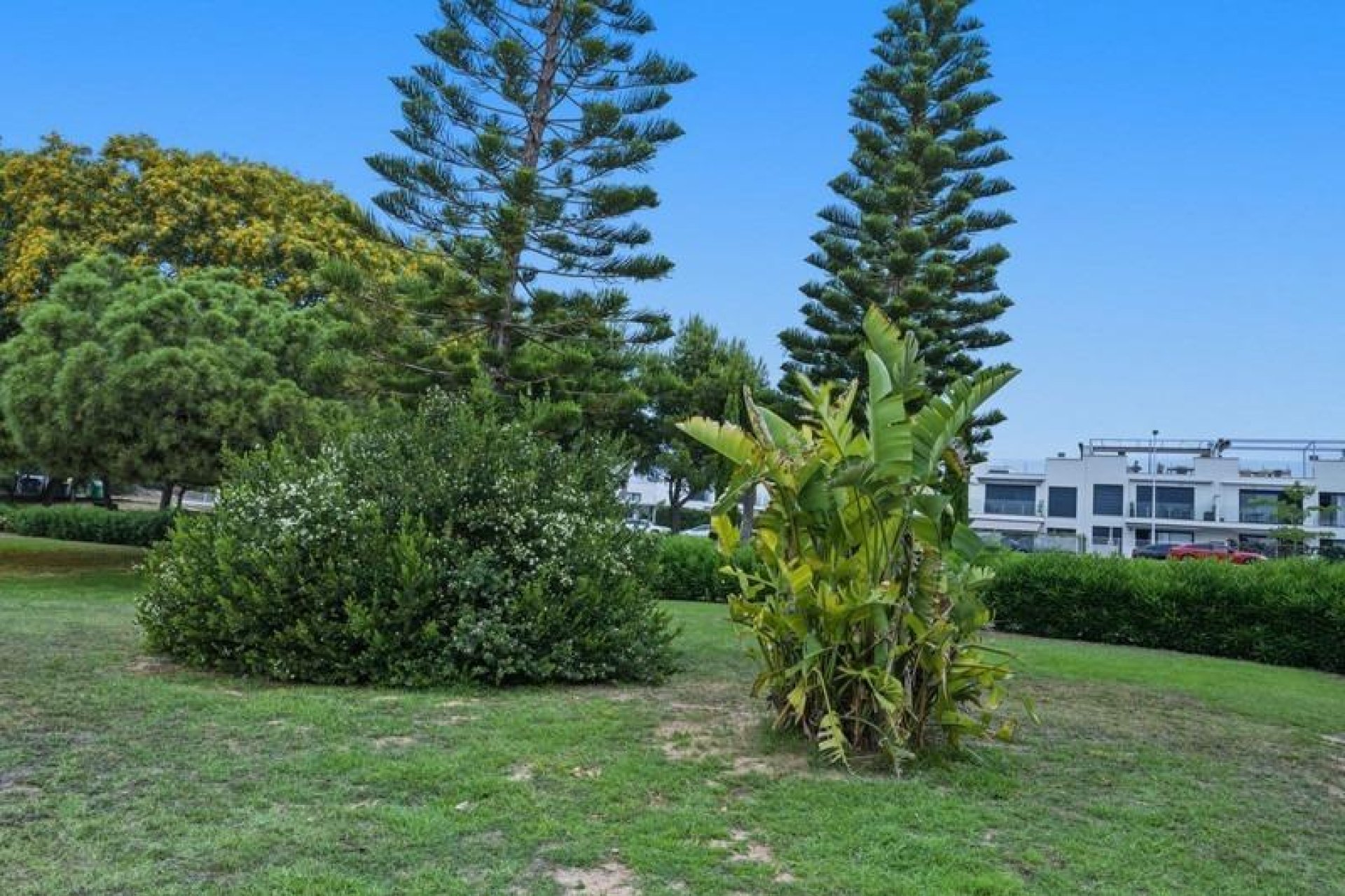 Resale - Townhouse -
Torrevieja - Los Balcones - Los Altos del Edén