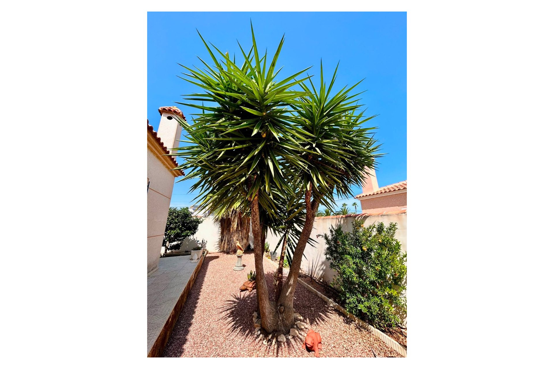 Resale - - VILLA -
Torrevieja - Urbanización San Luis