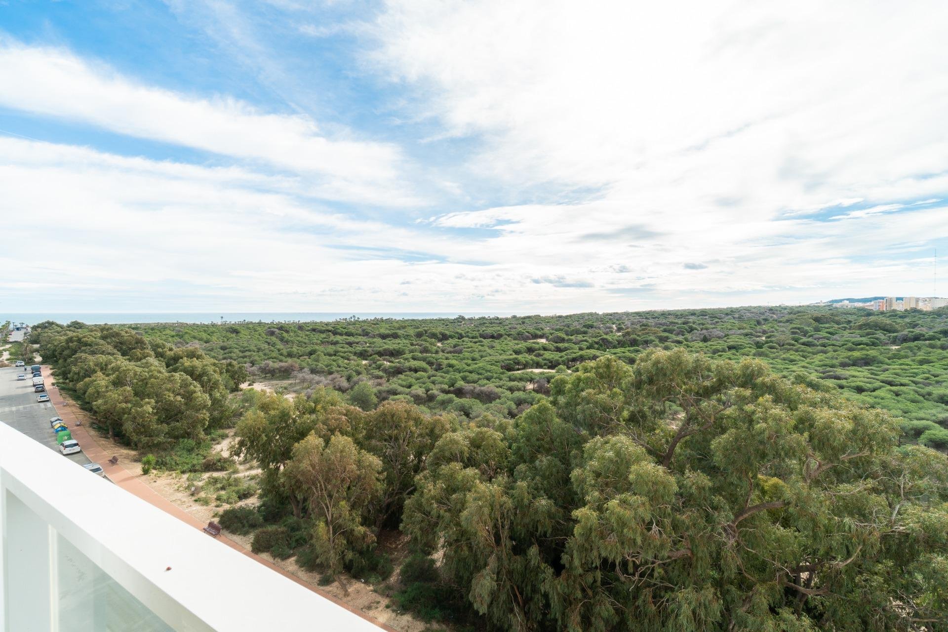 Revente - Appartement -
Guardamar del Segura - Puerto Deportivo